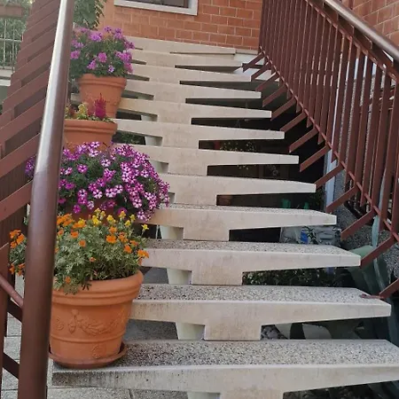 Brazil Отель типа 