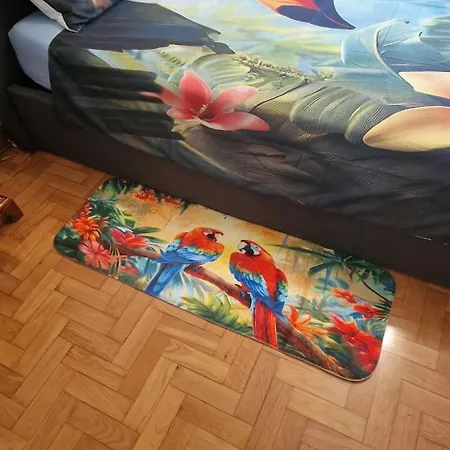 Brazil 利多迪迪耶索洛