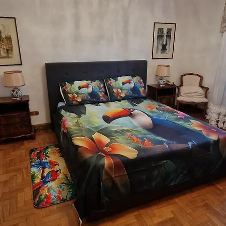 Brazil 利多迪迪耶索洛